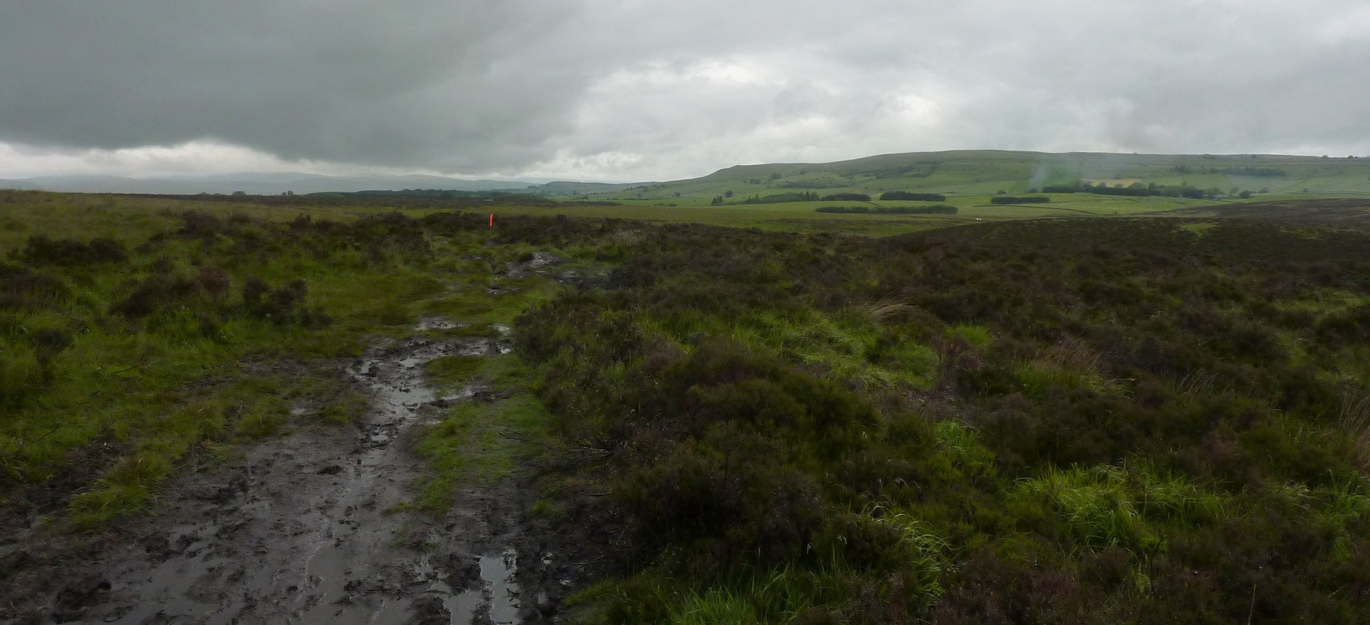 The path around Sunbiggin, somewhat wet and muddy