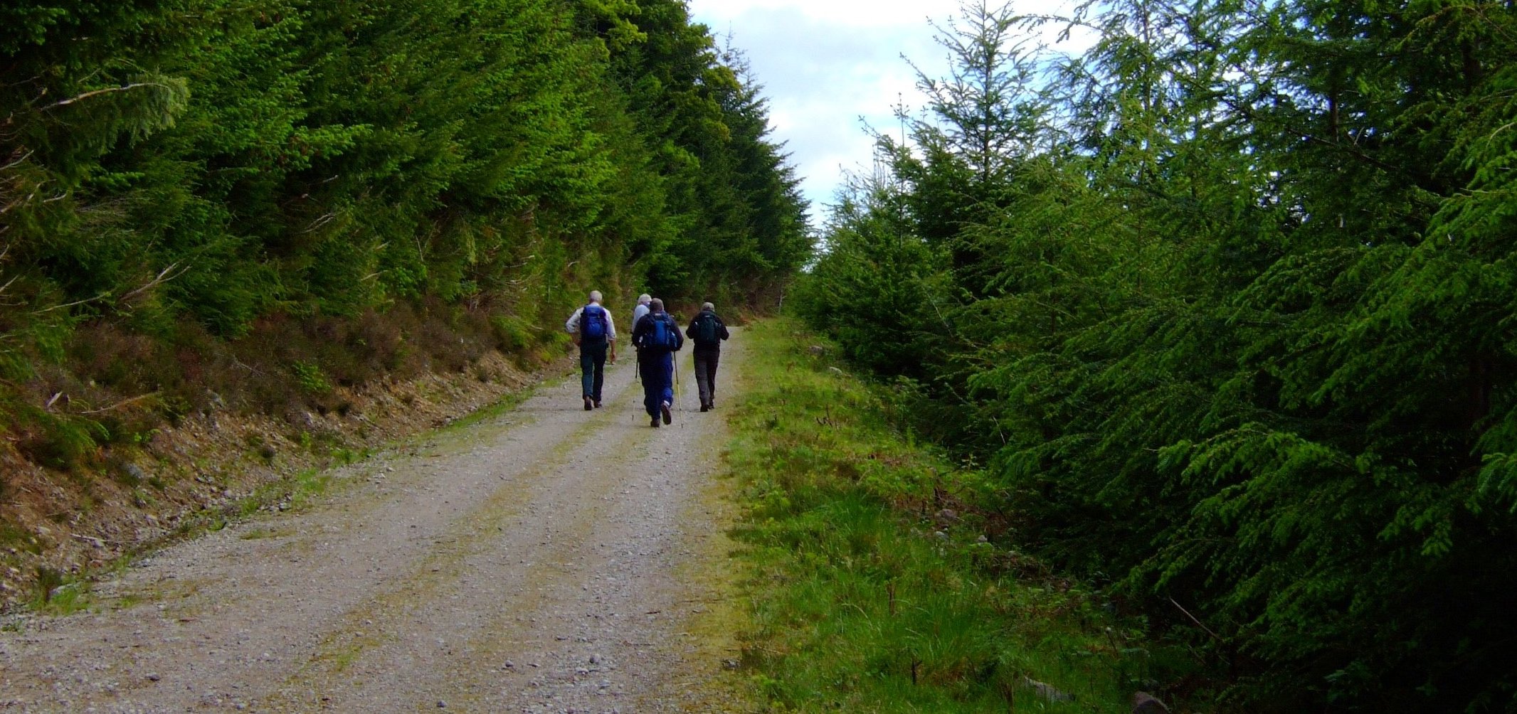 The forestry road from Invermoriston