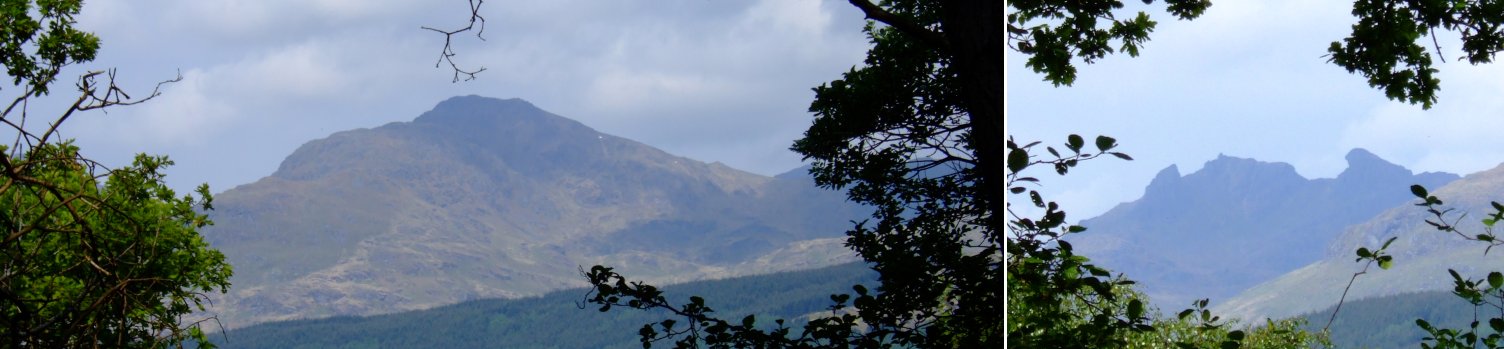 Brief glimpses through the trees of the mountains on the western side of Loch Lomond