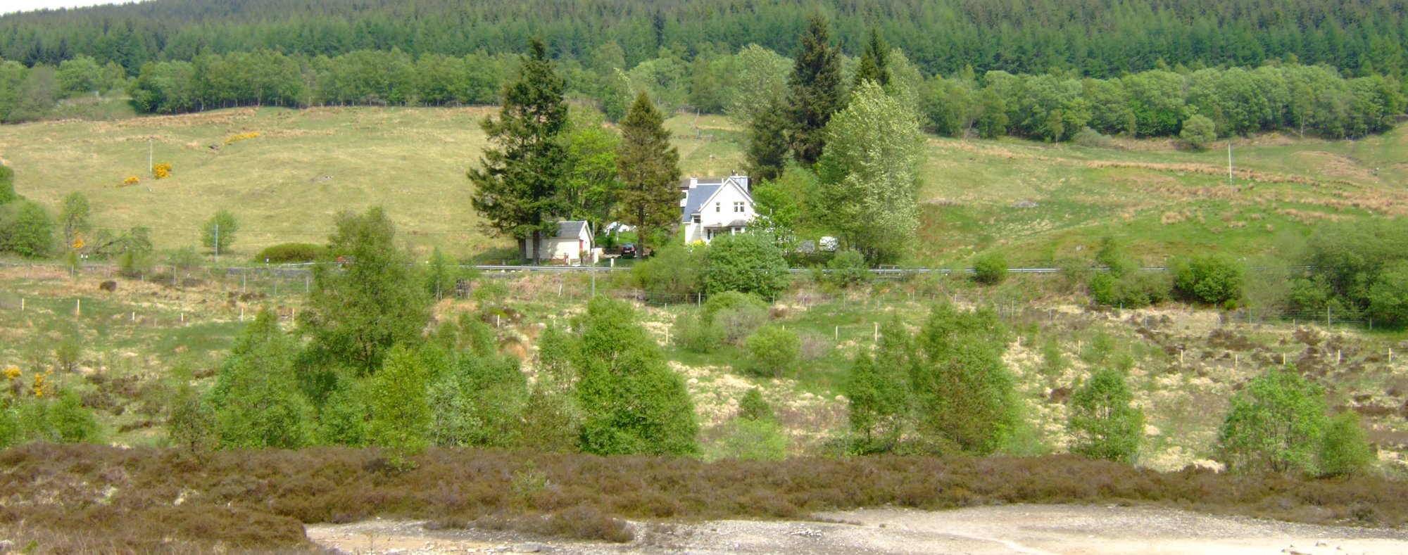 Glengarry House - the path from the WHW is beside the largest tree (left and centre) across some stepping stones in the burn