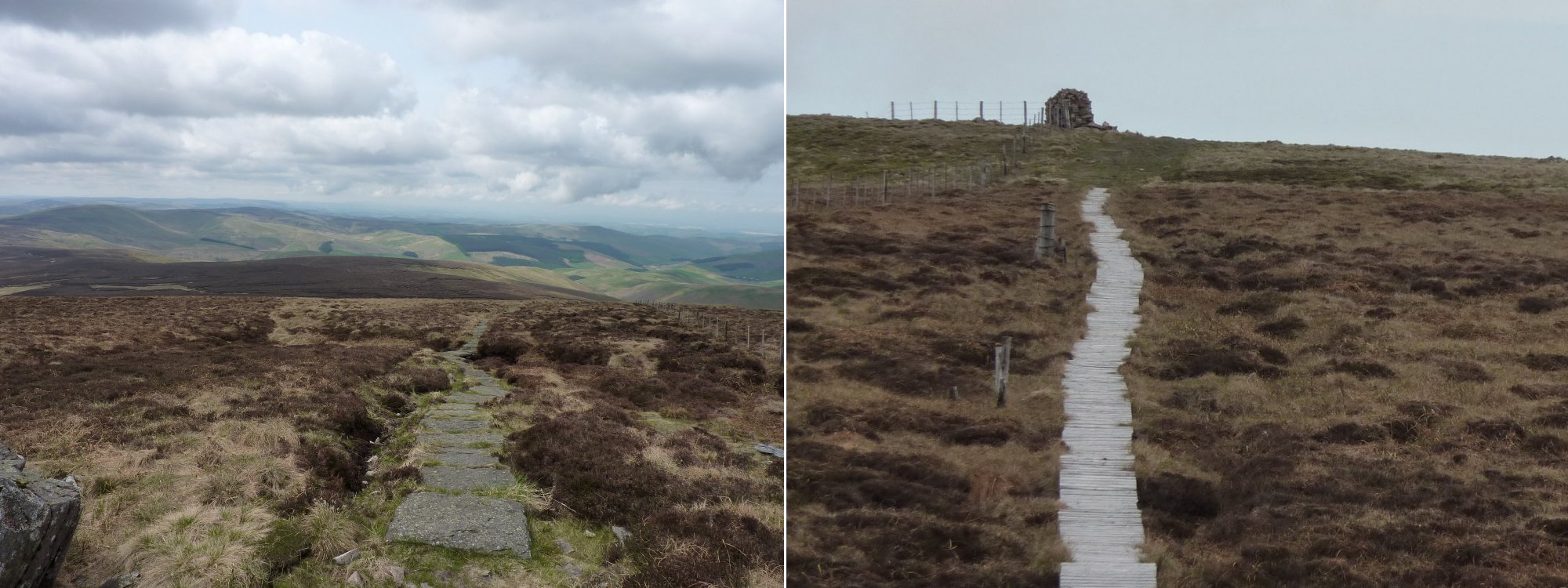 Left to Right: Looking back along the path from the turn to The Cheviot,     Duckboards over the peat