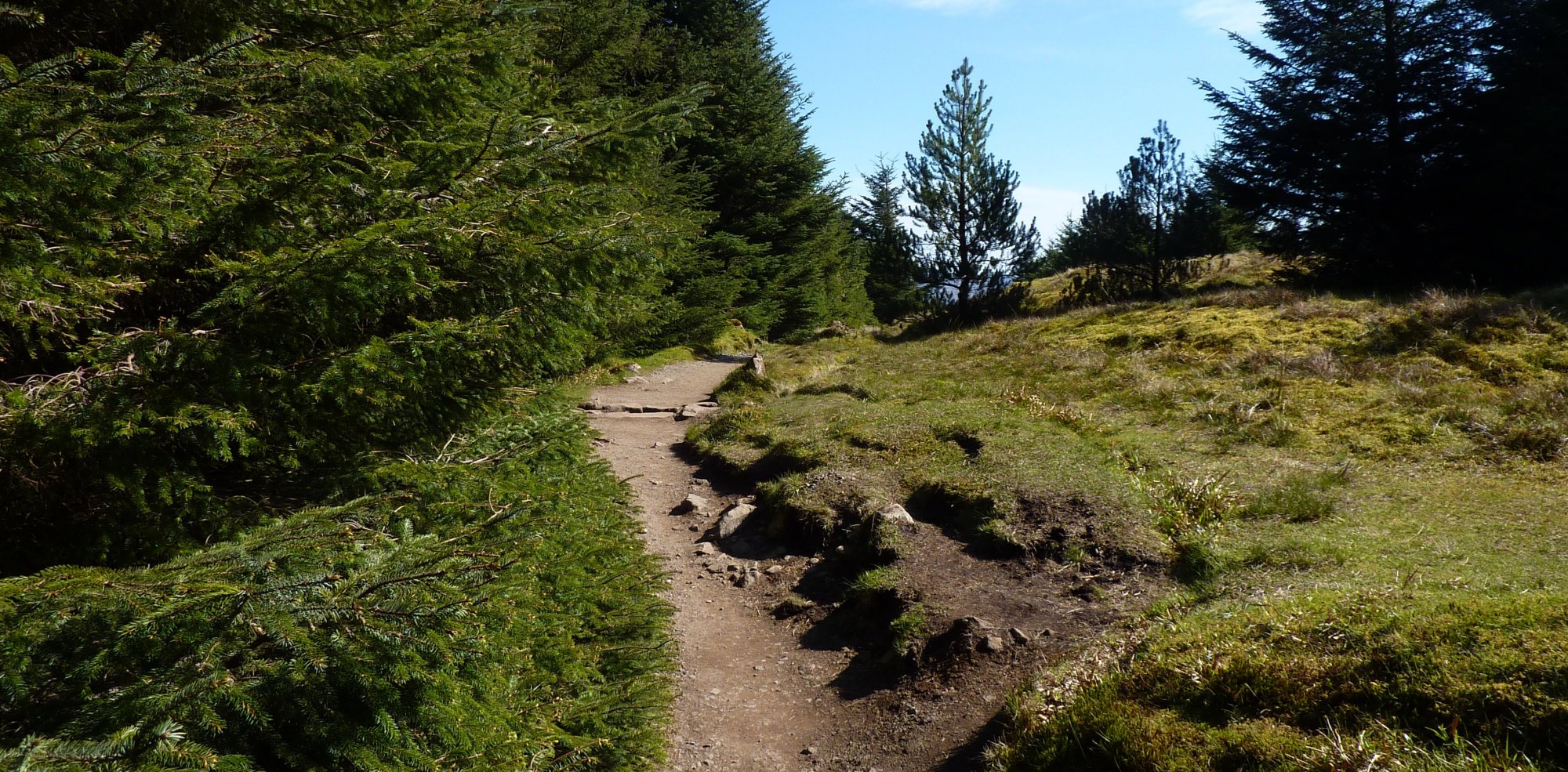 Following the lovely path through the trees down from the Old Man of Storr to the car park