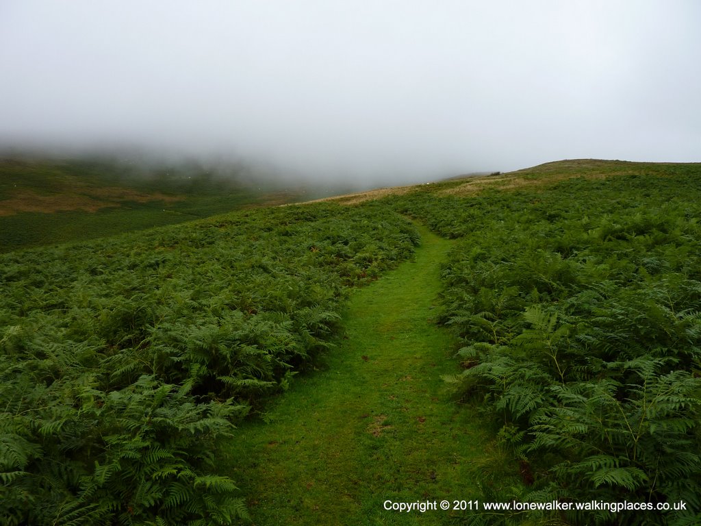 Heading up into the mist on Brown Moor